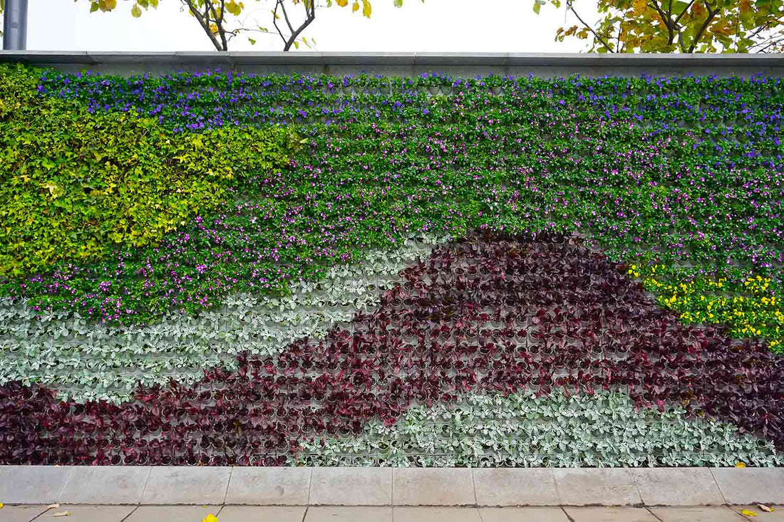 ¿Cómo transformar un muro gris en un rincón verde y vibrante? - La Casa Del Cuadro