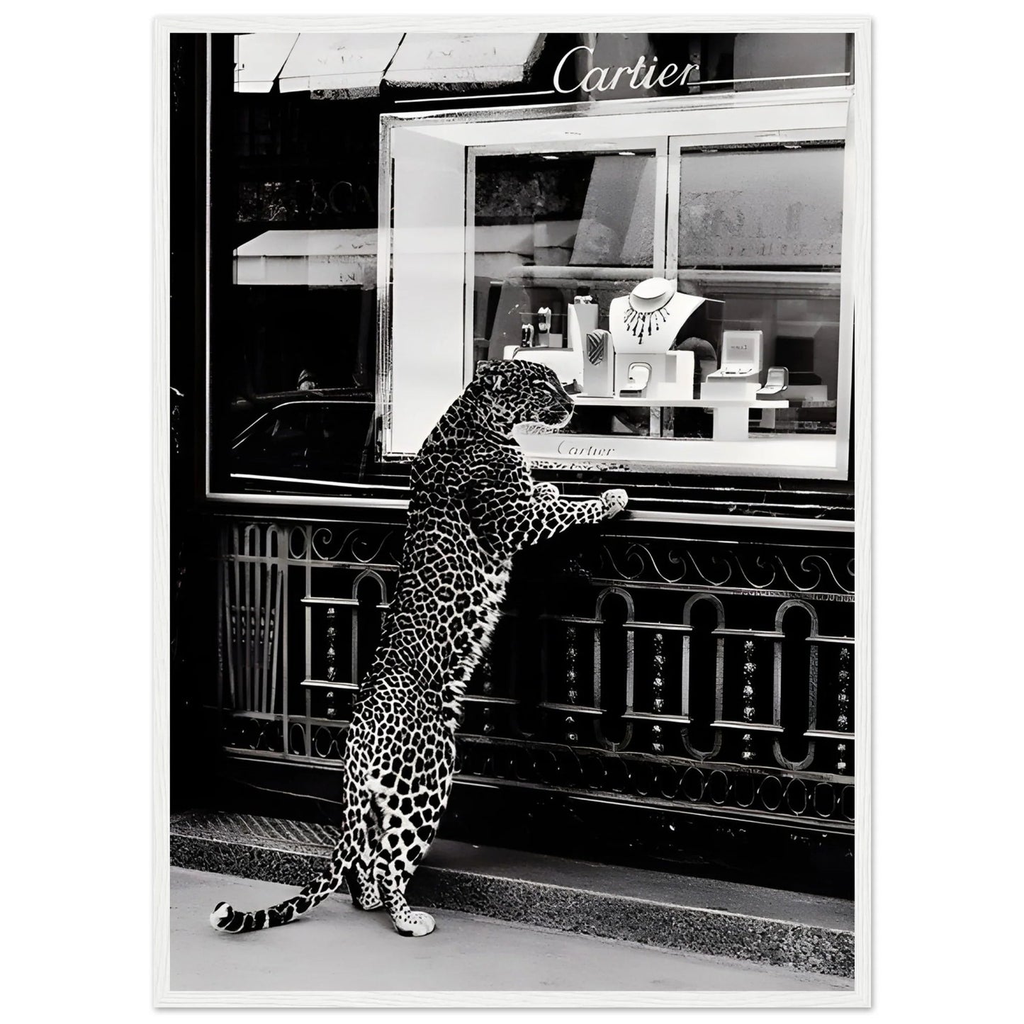 Cuadro Lujo Blanco y Negro - La Casa Del Cuadro