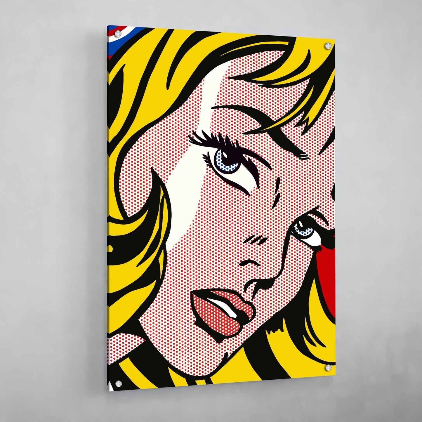 Cuadro Pop Art Mujer - La Casa Del Cuadro