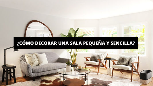 ¿Cómo Decorar Una Sala Pequeña Y Sencilla? - La Casa Del Cuadro