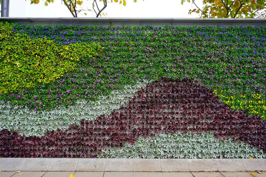 ¿Cómo transformar un muro gris en un rincón verde y vibrante? - La Casa Del Cuadro
