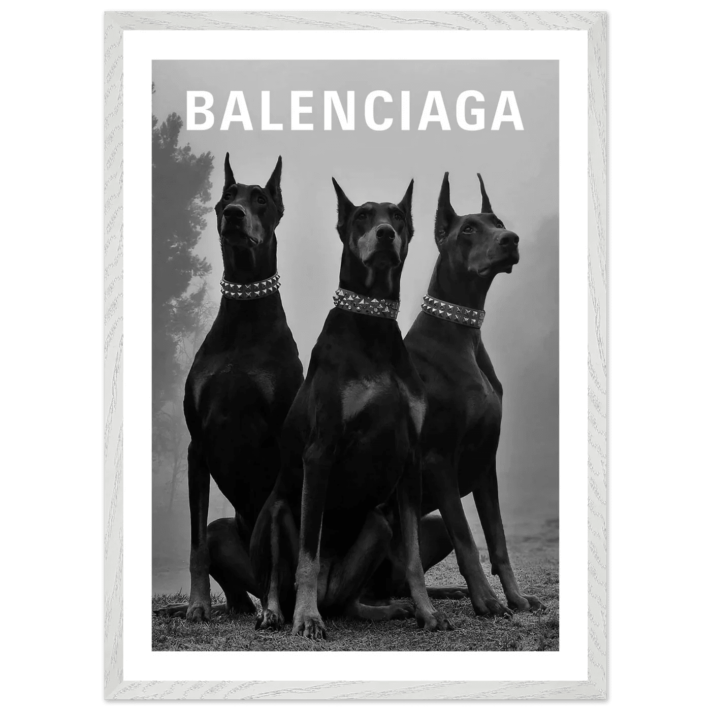 Cuadro Balenciaga Blanco y Negro - La Casa Del Cuadro