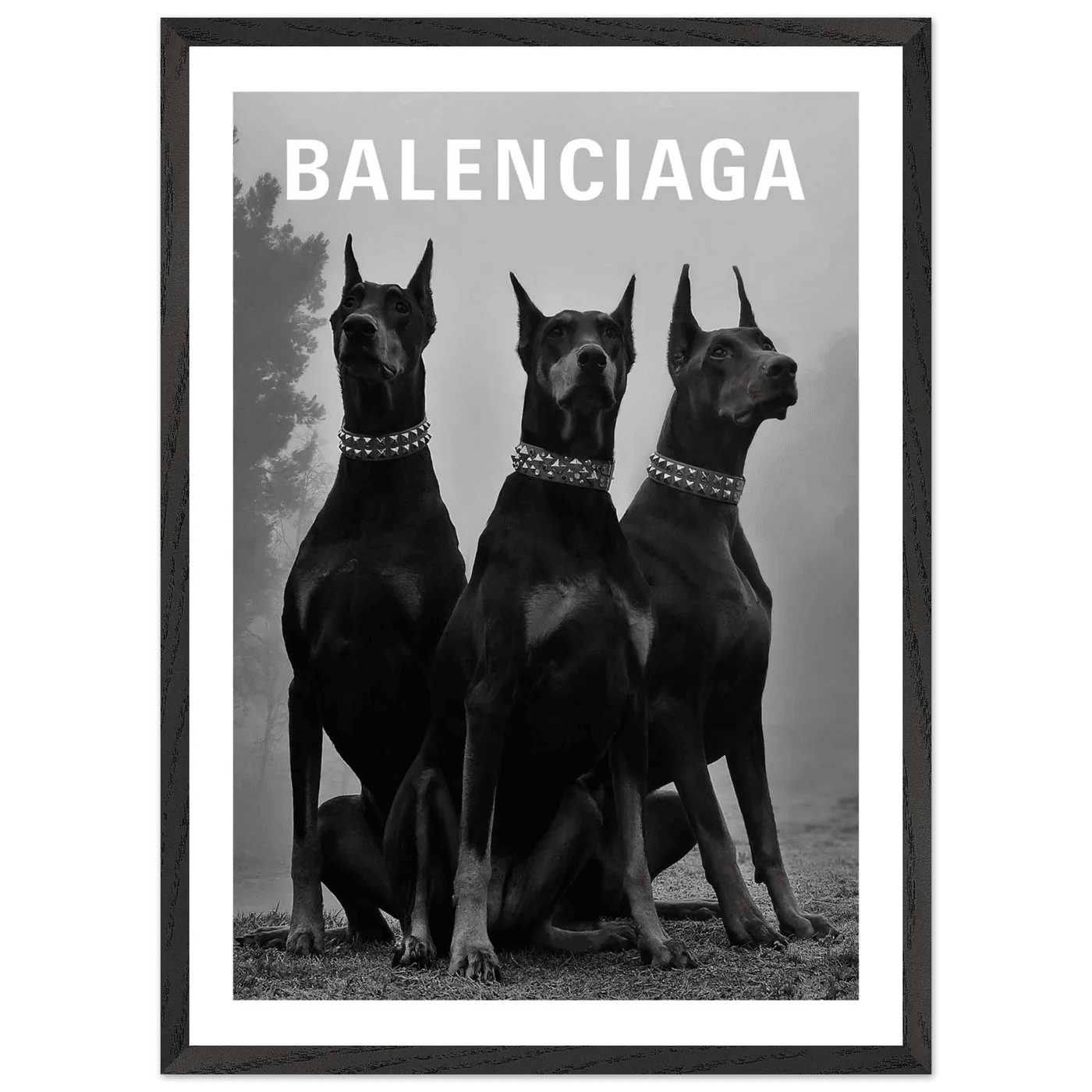 Cuadro Balenciaga Blanco y Negro - La Casa Del Cuadro