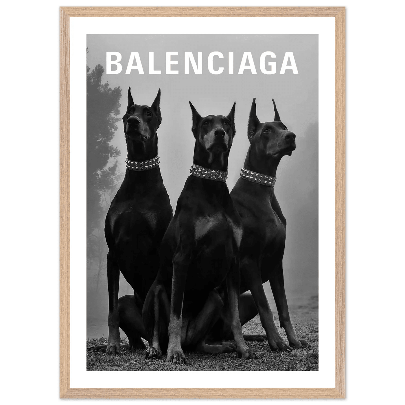 Cuadro Balenciaga Blanco y Negro - La Casa Del Cuadro