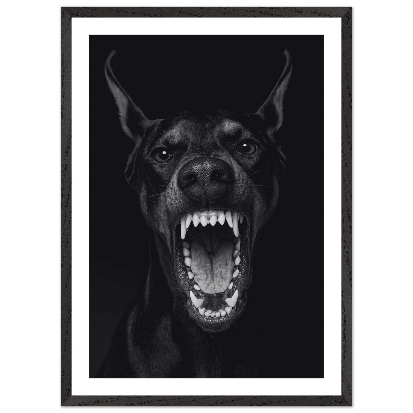 Cuadro Blanco y Negro Doberman Feroz - La Casa Del Cuadro