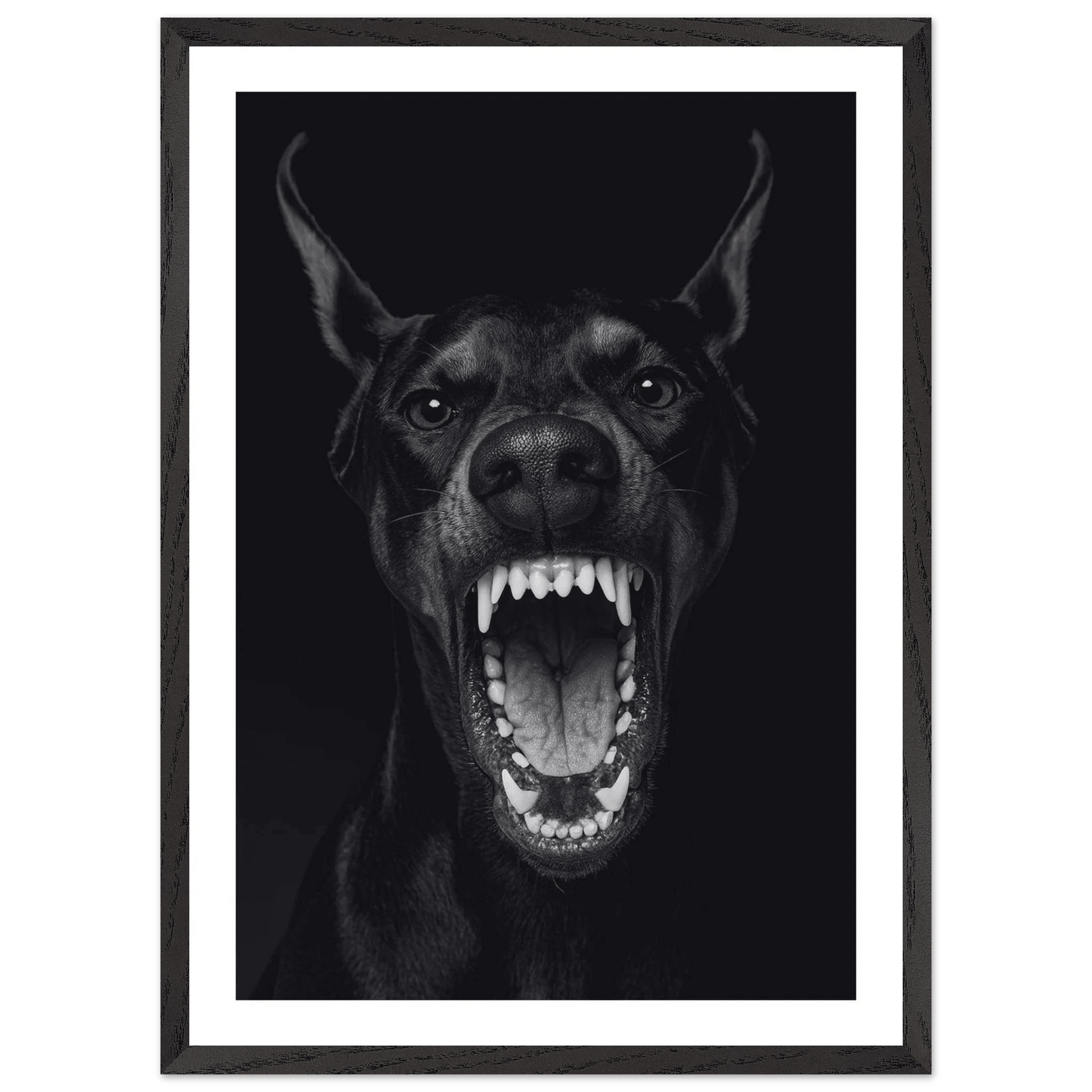 Cuadro Blanco y Negro Doberman Feroz - La Casa Del Cuadro