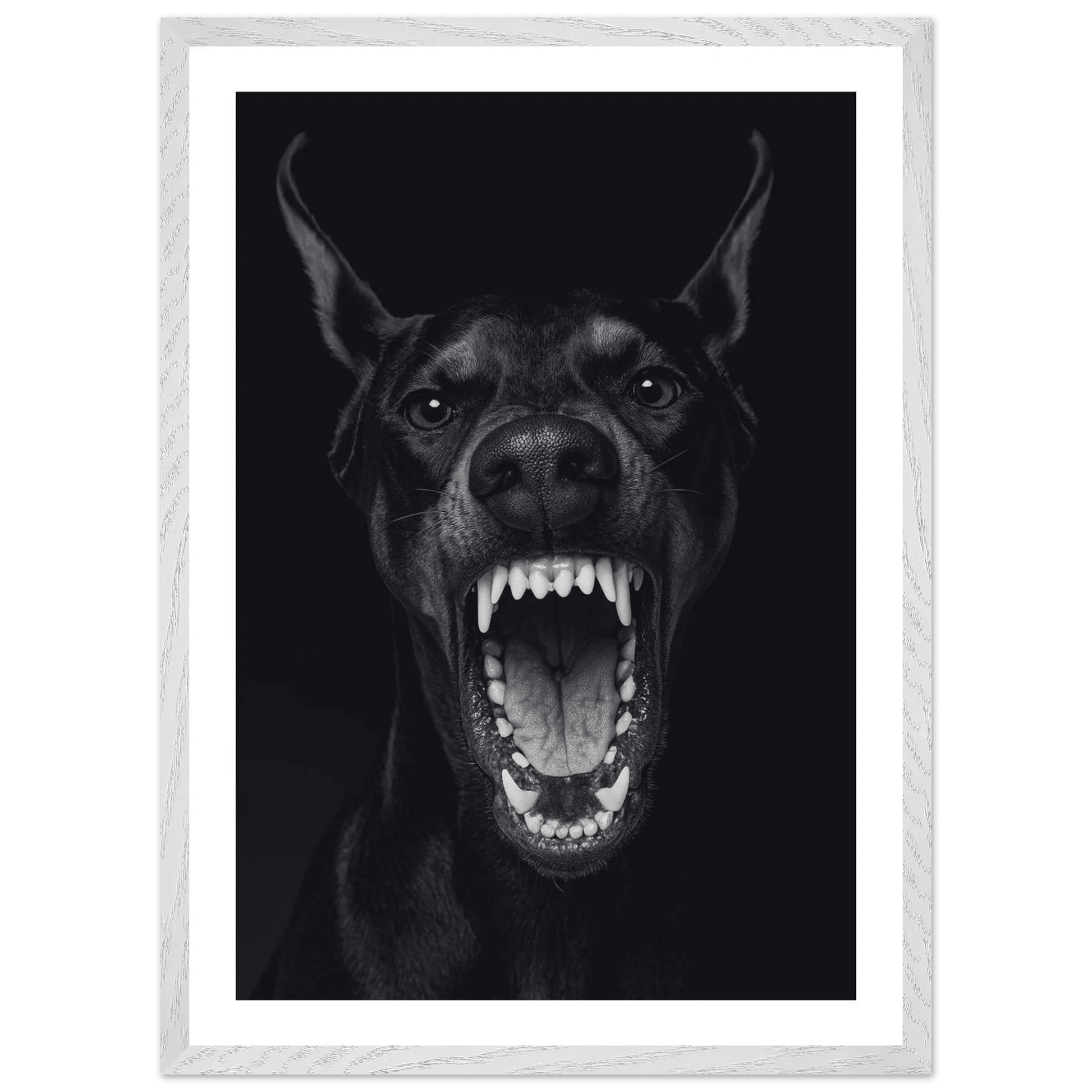 Cuadro Blanco y Negro Doberman Feroz - La Casa Del Cuadro