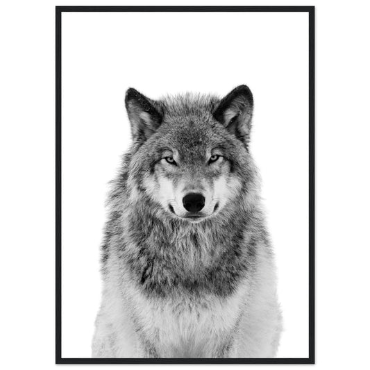 Cuadro Blanco y Negro Lobo - La Casa Del Cuadro