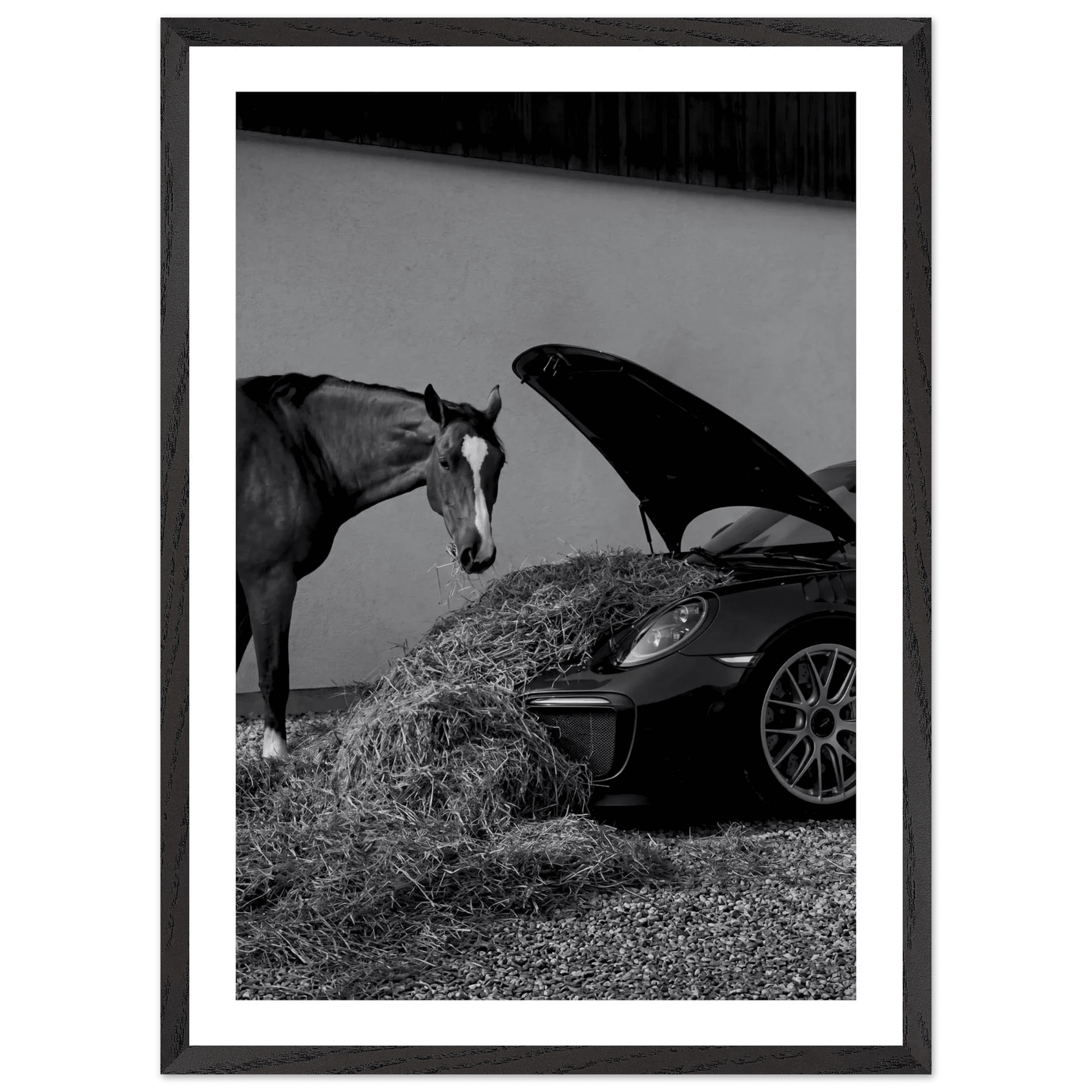 Cuadro Blanco y Negro Porsche Con Caballo - La Casa Del Cuadro