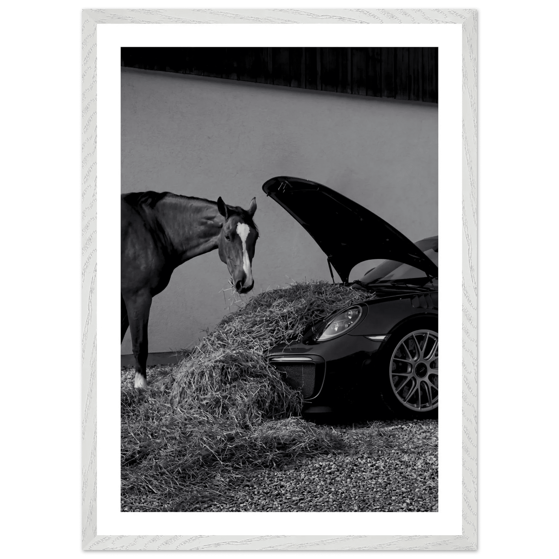 Cuadro Blanco y Negro Porsche Con Caballo - La Casa Del Cuadro