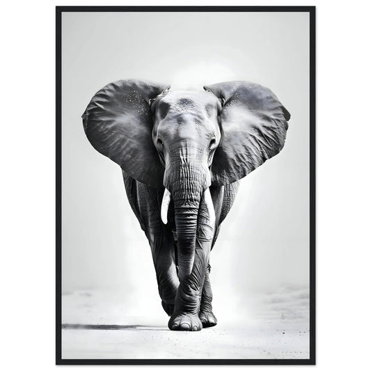 Cuadro Elefante Blanco y Negro - La Casa Del Cuadro